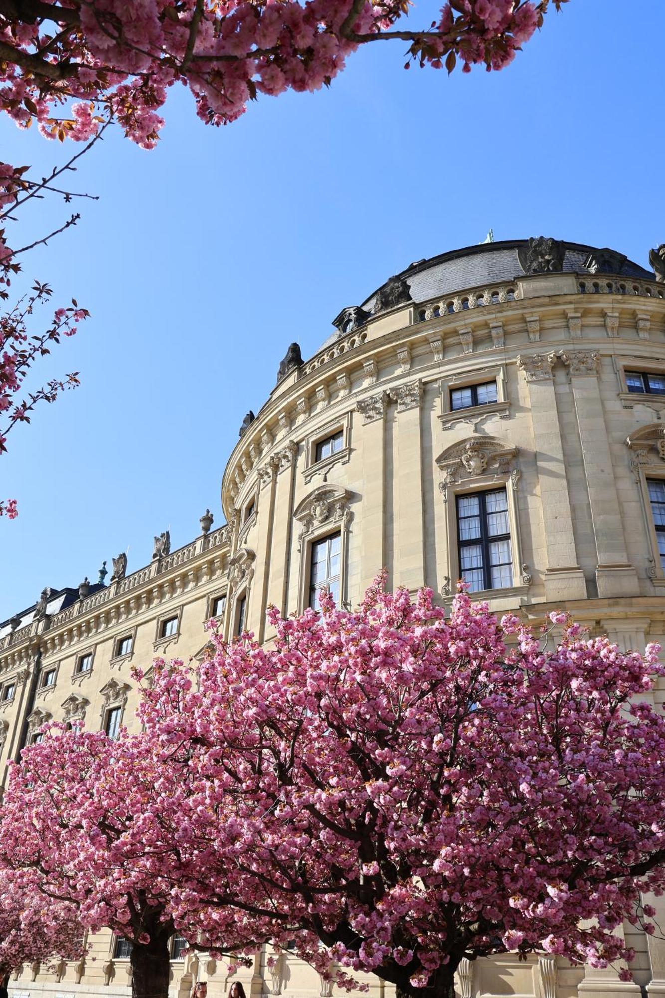 Ringpark-Ferien Würzburg Exterior foto